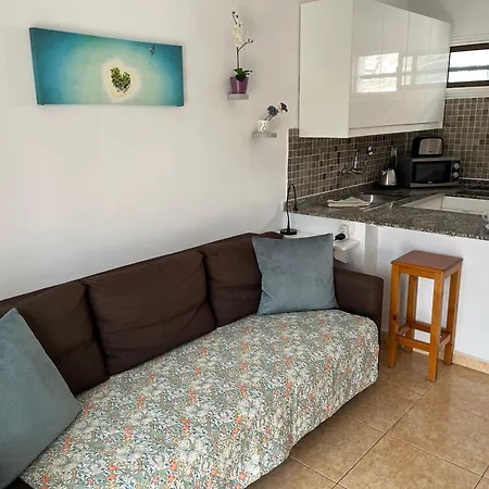 公寓 Arimar Seaview Puerto Rico *